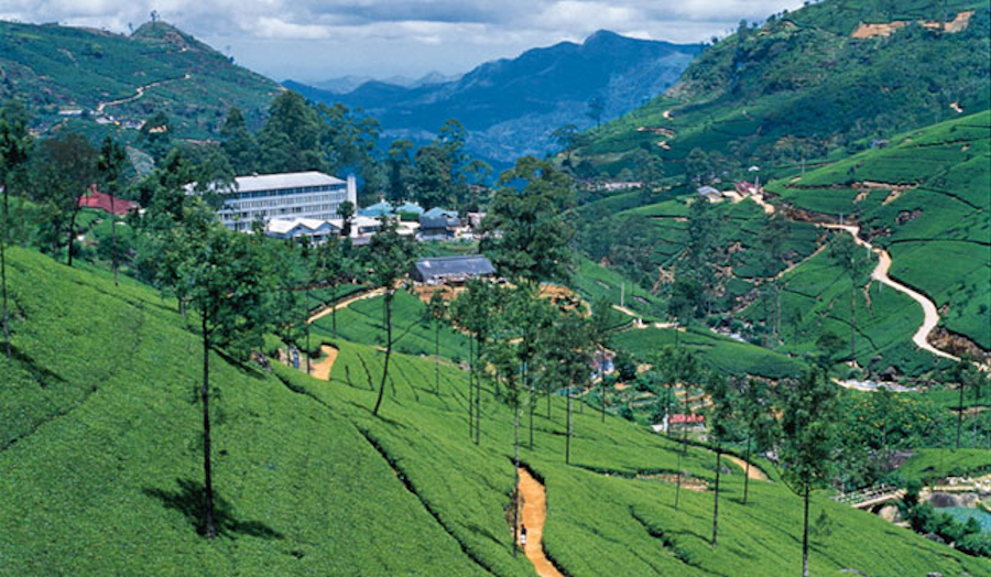 Nuwara Eliya